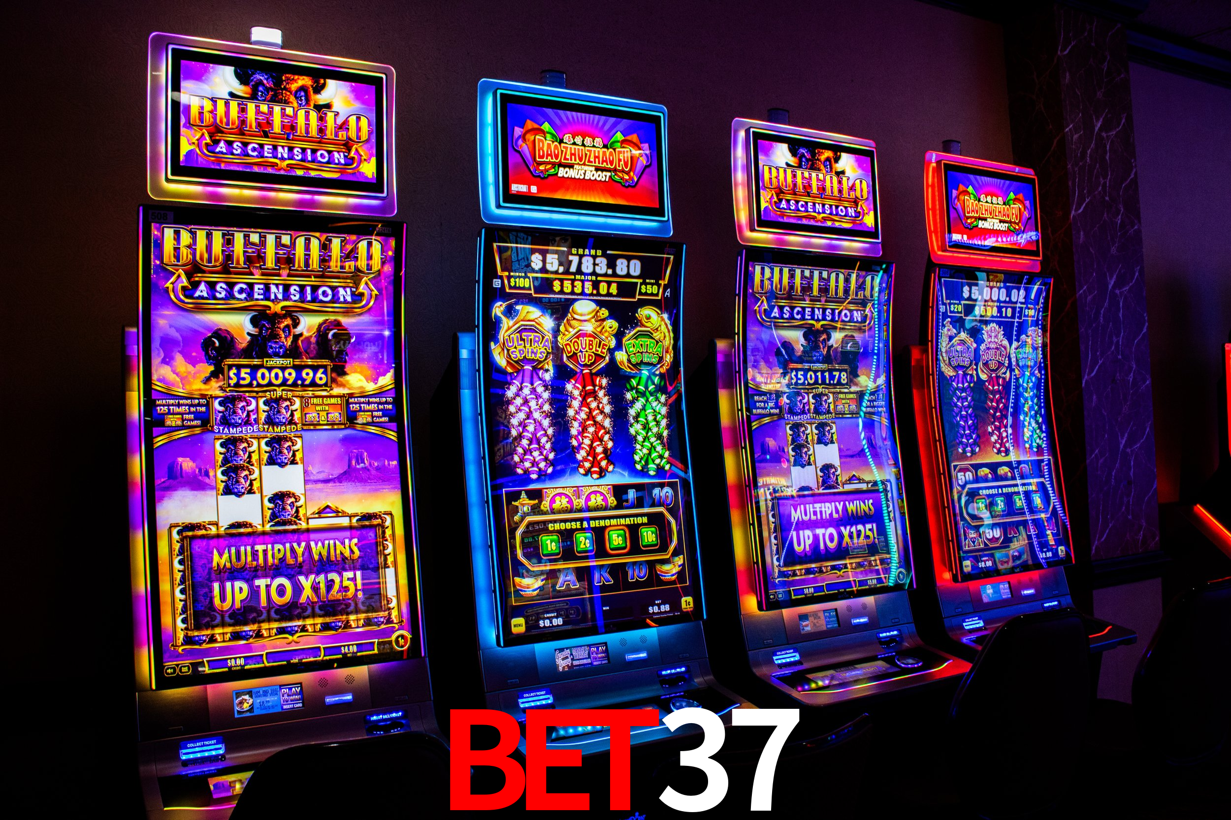 Bet37.Com